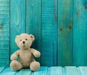 Snuggly Plush Toy